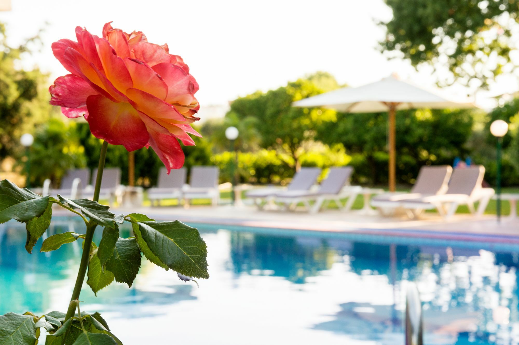 Terinikos Sunny Garden Hotel Junior Suites Ialysos  Exterior photo